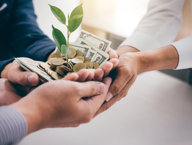 Equity <br> Investment
